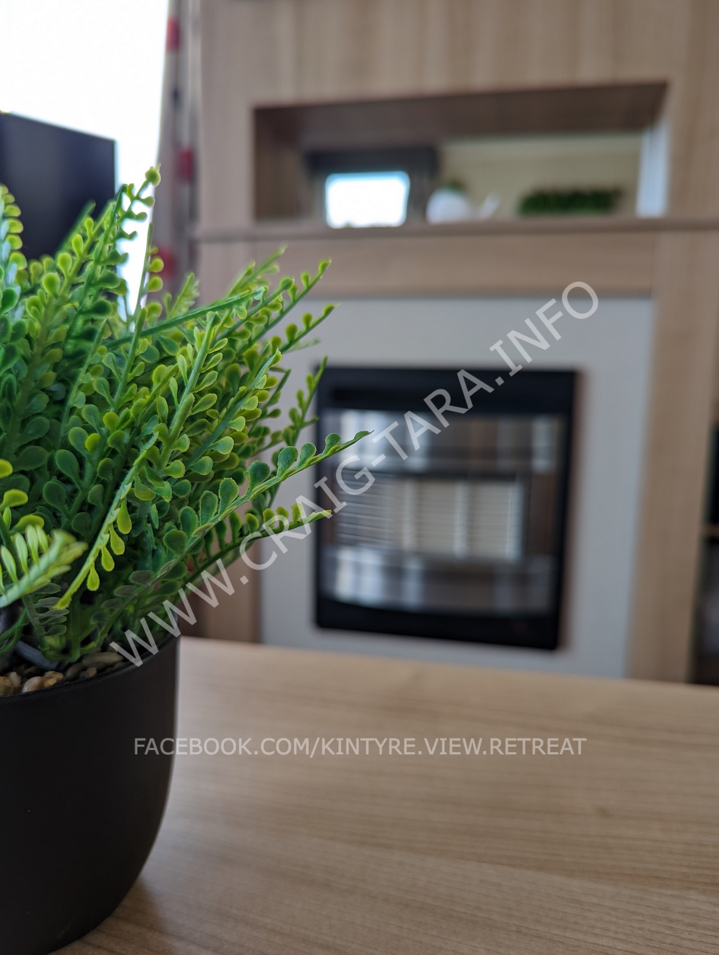 picture of fireplace and decorative plant
